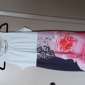 Ted Baker bodycon dresses size 14